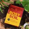 Rosy Soil- Organic Cactus & Succulent Mix 4qt -Eds Plant Shop rosy soil organic cactus succulent mix 4qt 345607