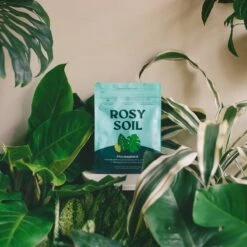 Rosy Soil Organic Indoor Potting Mix- Houseplant 4qt. -Eds Plant Shop rosy soil organic indoor potting mix houseplant 4qt 117592