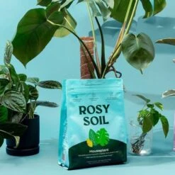 Rosy Soil Organic Indoor Potting Mix- Houseplant 4qt. -Eds Plant Shop rosy soil organic indoor potting mix houseplant 4qt 830629