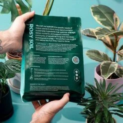 Rosy Soil Organic Indoor Potting Mix- Houseplant 4qt. -Eds Plant Shop rosy soil organic indoor potting mix houseplant 4qt 862591