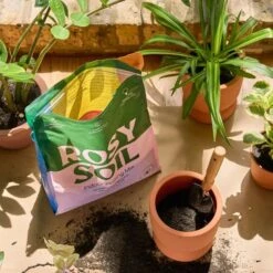 Rosy Soil Organic Indoor Potting Mix- Houseplant 8qt. -Eds Plant Shop rosy soil organic indoor potting mix houseplant 8qt 319172