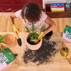 Rosy Soil Organic Indoor Potting Mix- Houseplant 8qt. -Eds Plant Shop rosy soil organic indoor potting mix houseplant 8qt 936333