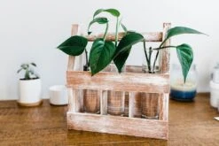 Rustic DIY Weathered Wood Caddy Kit – Customizable Home Decor -Eds Plant Shop rustic diy weathered wood caddy kit customizable home decor 932617