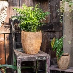 Seagrass Style Cement Planter 15 Seagrass Style Cement Planter -Eds Plant Shop seagrass style cement planter 847133