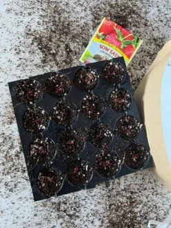 Seedling Mix - Seed Staring Soil For All Seeds -Eds Plant Shop seedling mix seed staring soil for all seeds 752306