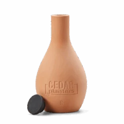 Self-Watering Clay Olla Pot – Slow-Release Irrigation System -Eds Plant Shop self watering clay olla pot slow release irrigation system 212288