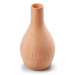 Self-Watering Clay Olla Pot – Slow-Release Irrigation System -Eds Plant Shop self watering clay olla pot slow release irrigation system 269652