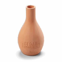 Self-Watering Clay Olla Pot – Slow-Release Irrigation System -Eds Plant Shop self watering clay olla pot slow release irrigation system 592708