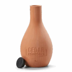 Self-Watering Clay Olla Pot – Slow-Release Irrigation System -Eds Plant Shop self watering clay olla pot slow release irrigation system 712564