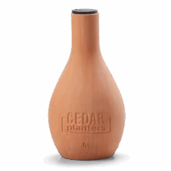 Self-Watering Clay Olla Pot – Slow-Release Irrigation System -Eds Plant Shop self watering clay olla pot slow release irrigation system 924646