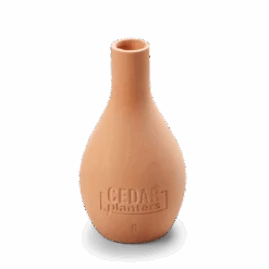 Self-Watering Clay Olla Pot – Slow-Release Irrigation System -Eds Plant Shop self watering clay olla pot slow release irrigation system 969109