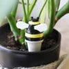 Self Watering Device - Bee -Eds Plant Shop self watering device bee 898487