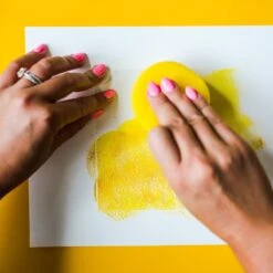 Shadow Light Kit -Eds Plant Shop shadow light kit 777702