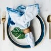 Shibori & Classic Tie Dye Kit – DIY Indigo Dyeing Kit With Napkins + Tote -Eds Plant Shop shibori classic tie dye kit 822851
