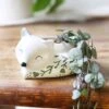 Sleeping Fox Indoor Planter -Eds Plant Shop sleeping fox indoor planter 111247