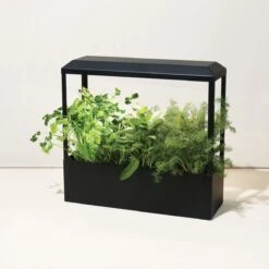 Smart LED Growhouse| Countertop Grow Light With Planter -Eds Plant Shop smart led growhouse countertop grow light with planter 299940