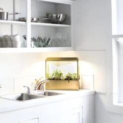 Smart LED Growhouse| Countertop Grow Light With Planter -Eds Plant Shop smart led growhouse countertop grow light with planter 562438