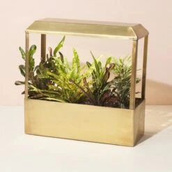 Smart LED Growhouse| Countertop Grow Light With Planter -Eds Plant Shop smart led growhouse countertop grow light with planter 855680