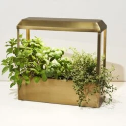 Smart LED Growhouse| Countertop Grow Light With Planter