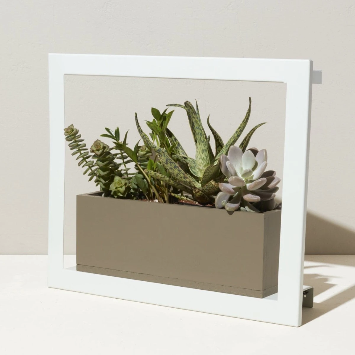 Smart Standard Growframe (Online Only) | Wall-Mountable LED Grow Light Frame 8 Smart Standard Growframe (Online Only) | Wall-Mountable LED Grow Light Frame - Image 6