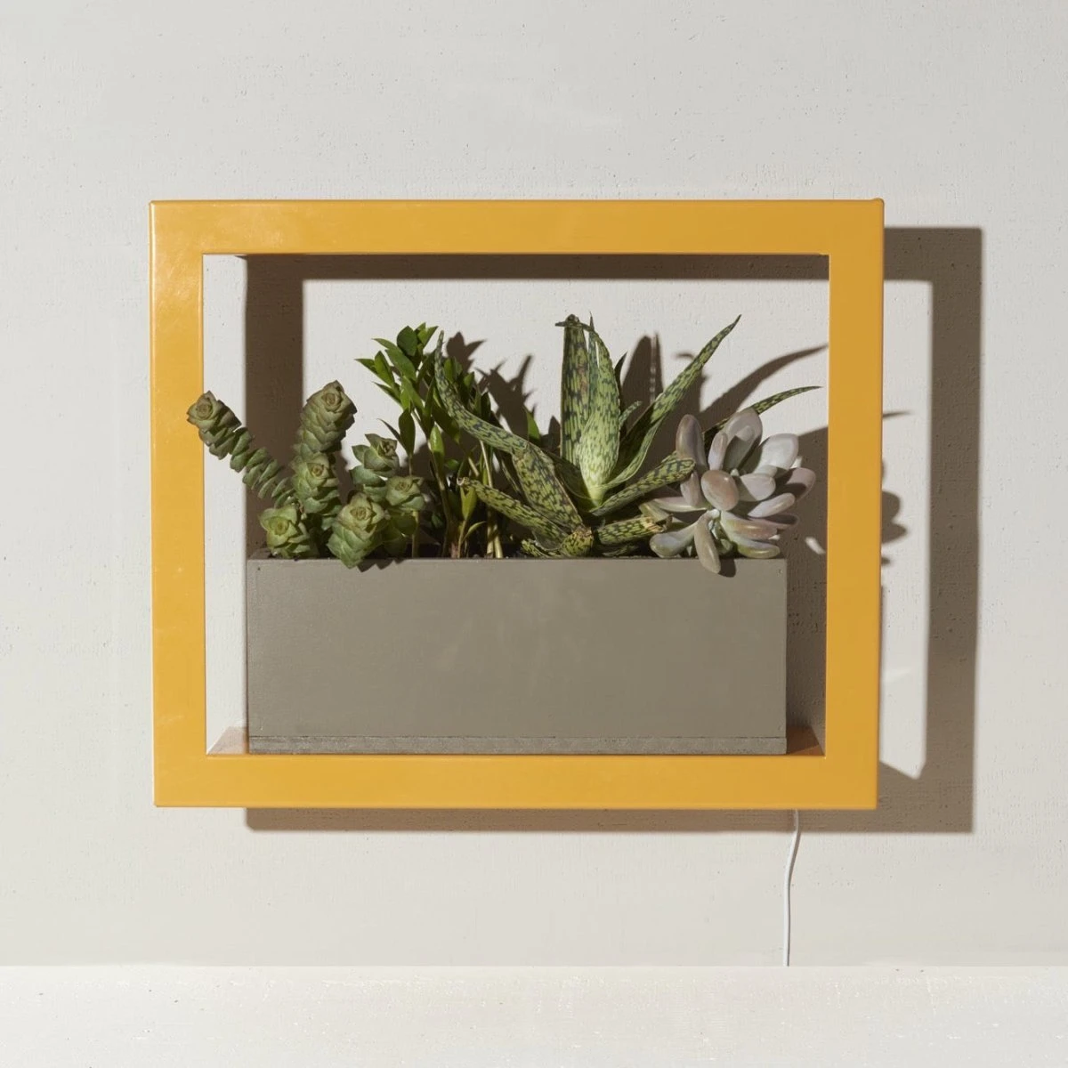 Smart Standard Growframe (Online Only) | Wall-Mountable LED Grow Light Frame 6 Smart Standard Growframe (Online Only) | Wall-Mountable LED Grow Light Frame - Image 4