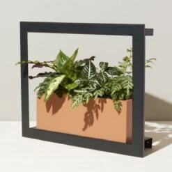 Smart Standard Growframe (Online Only) | Wall-Mountable LED Grow Light Frame 17 Smart Standard Growframe (Online Only) | Wall-Mountable LED Grow Light Frame -Eds Plant Shop smart standard growframe online only wall mountable led grow light frame 869636