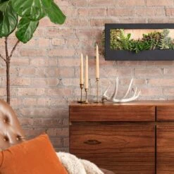 Smart Standard Growframe | Wall-Mountable LED Grow Light Frame -Eds Plant Shop smart standard growframe online only wall mountable led grow light frame 869714