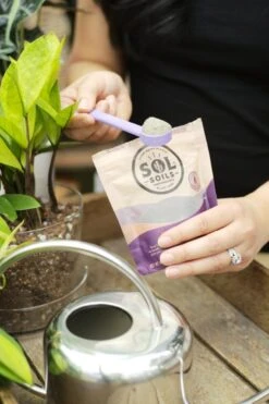 Sol Biotics – Necessary Nutrients: Probiotic Fertilizer & Soil Booster -Eds Plant Shop sol biotics necessary nutrients 716930