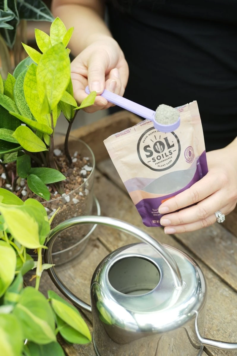 Sol Biotics Purple Powder Spoon – 1 Teaspoon Scoop 4 Sol Biotics Purple Powder Spoon – 1 Teaspoon Scoop - Image 2