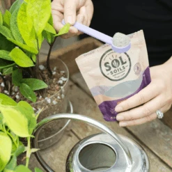 Sol Biotics Purple Powder Spoon – 1 Teaspoon Scoop