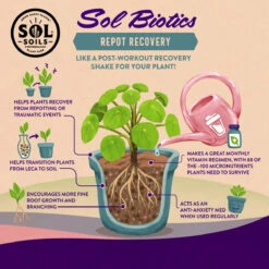 Sol Biotics – Repot Recovery: Probiotic Transplant Shock Relief -Eds Plant Shop sol biotics repot recovery probiotic transplant shock relief 9991957