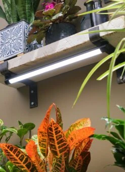 Soltech Solutions- Grove LED Grow Light -Eds Plant Shop soltech solutions grove led grow light 954329