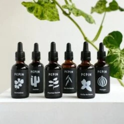 Specialized Cactus Fertilizer - Tailored Nutrient Solution For Cacti And Succulents -Eds Plant Shop specialized cactus fertilizer tailored nutrient solution for cacti and succulents 436282