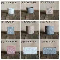 Speckled Cement Planter In Various Shape, Colors, And Sizes -Eds Plant Shop speckled cement planter in various shape colors and sizes 760502