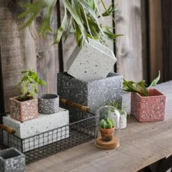 Speckled Cement Planter In Various Shape, Colors, And Sizes