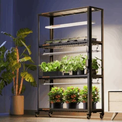 Spider Farmer 3 Tier Metal Plant Stand With Trays 19 Spider Farmer 3 Tier Metal Plant Stand With Trays -Eds Plant Shop spider farmer 3 tier metal plant stand with trays 730767