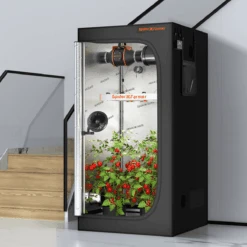 Spider Farmer 6" Clip-On Fan For Indoor Plants -Eds Plant Shop spider farmer 6 clip on fan for indoor plants 107251