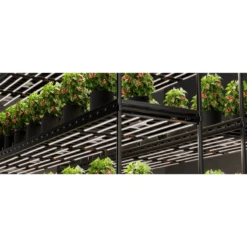 Spider Farmer SE7000 730W Dimmable Full Spectrum LED Grow Light -Eds Plant Shop spider farmer se7000 730w dimmable full spectrum led grow light 264496