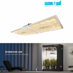 Spider Farmer SF2000 200W Dimmable Full Spectrum LED Grow Light -Eds Plant Shop spider farmer sf2000 200w dimmable full spectrum led grow light 599602
