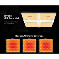 Spider Farmer SF7000 650W Full Spectrum LED Grow Light – Advanced Energy Efficiency For Professional Results -Eds Plant Shop spider farmer sf7000 650w full spectrum led grow light advanced energy efficiency for professional results 246225