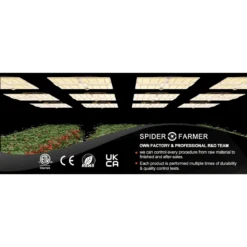 Spider Farmer SF7000 650W Full Spectrum LED Grow Light – Advanced Energy Efficiency For Professional Results -Eds Plant Shop spider farmer sf7000 650w full spectrum led grow light advanced energy efficiency for professional results 587541