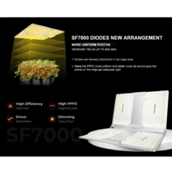 Spider Farmer SF7000 650W Full Spectrum LED Grow Light – Advanced Energy Efficiency For Professional Results -Eds Plant Shop spider farmer sf7000 650w full spectrum led grow light advanced energy efficiency for professional results 720468
