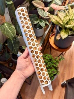 Stackable Plant Support Pole - White -Eds Plant Shop stackable plant support pole white 845383