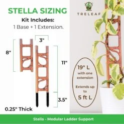 Stella Modular Plant Support & Trellis -Eds Plant Shop stella modular plant support trellis 114640
