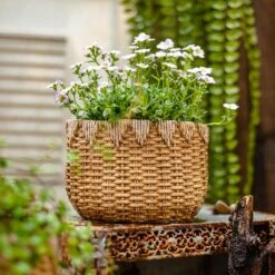 Straw Basket Cement Planter - Various Sizes -Eds Plant Shop straw basket cement planter various sizes 524485