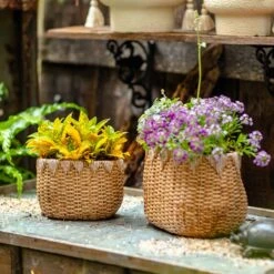 Straw Basket Cement Planter - Various Sizes -Eds Plant Shop straw basket cement planter various sizes 777957