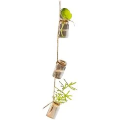 Stylish Rope Hanging Glass Planter Set Of Three 11 Stylish Rope Hanging Glass Planter Set Of Three -Eds Plant Shop stylish rope hanging glass planter set of three 669953