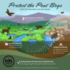 Succulent Gritty Mix – Sustainable Soil For Succulents & Dry-Weather Plants -Eds Plant Shop succulent gritty mix sustainable soil for succulents dry weather plants 228307