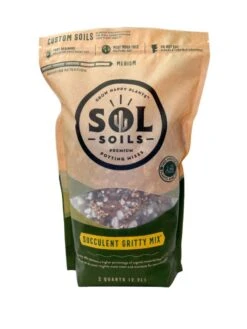 Succulent Gritty Mix – Sustainable Soil For Succulents & Dry-Weather Plants -Eds Plant Shop succulent gritty mix sustainable soil for succulents dry weather plants 479526
