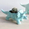 Teal Triceratops Dinosaur Planter -Eds Plant Shop teal triceratops dinosaur planter 5130447